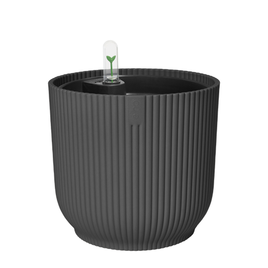 All-in-1 Vibes Rund 25 + Swi 24