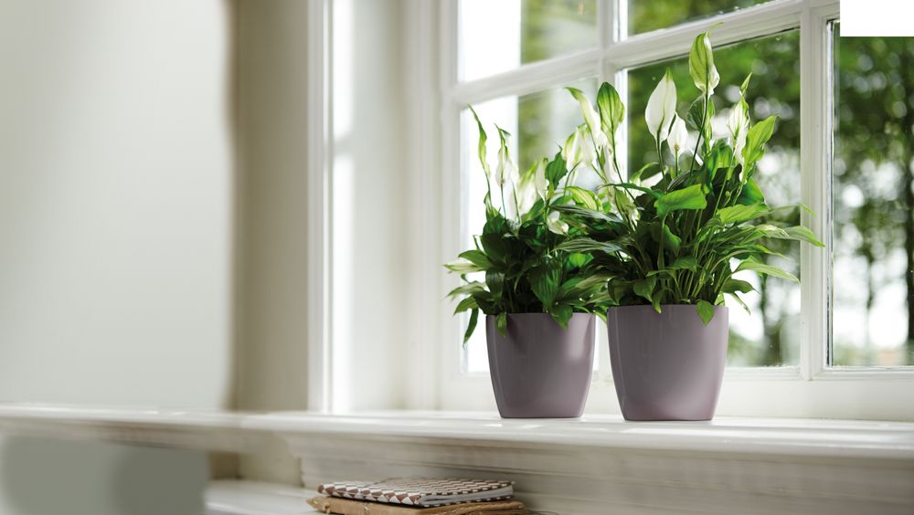 Brussels Diamond Rund 14