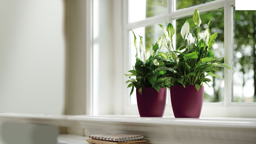 Brussels Diamond Rund 14