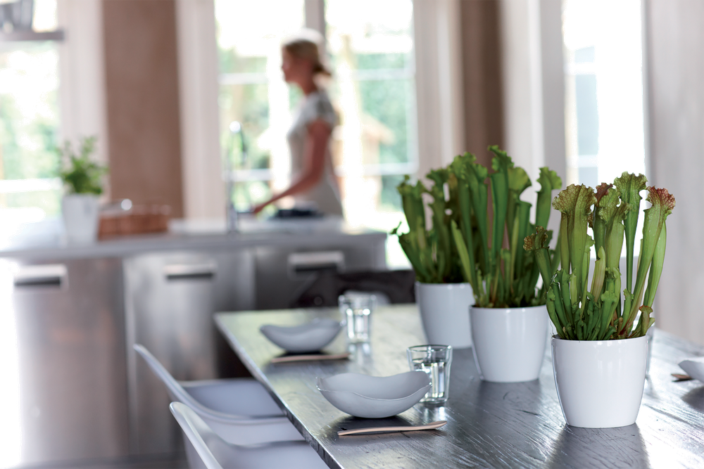 Brussels Diamond Rund 14