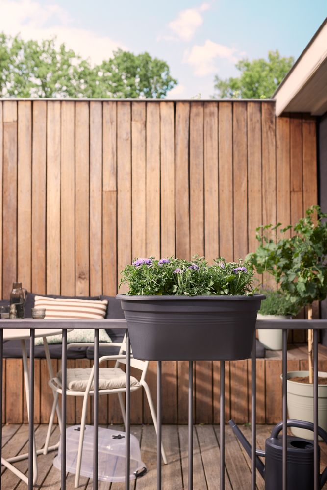 Green Basics Balkon Anzuchtset 55