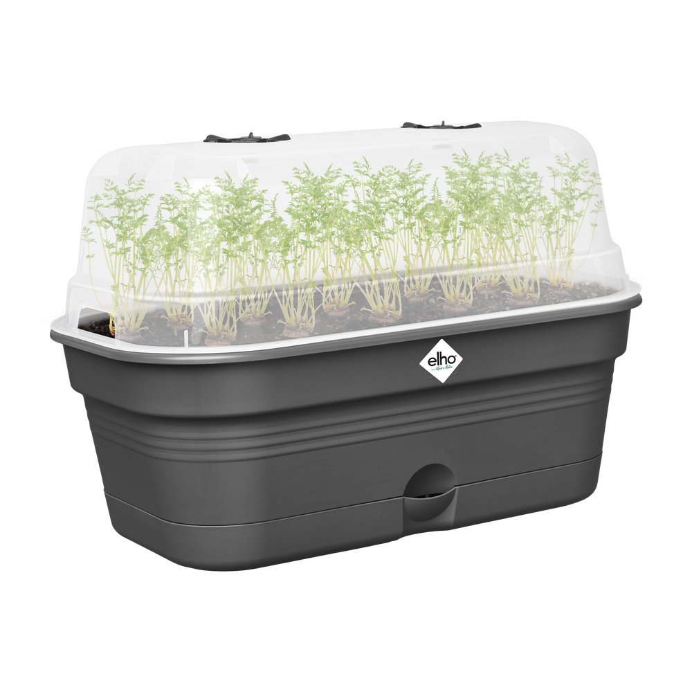 Green Basics Anzucht Schale Allin1 L