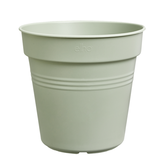 Green Basics Anzuchttopf 24