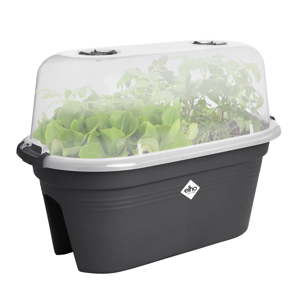 Green Basics Balkon Anzuchtset 55