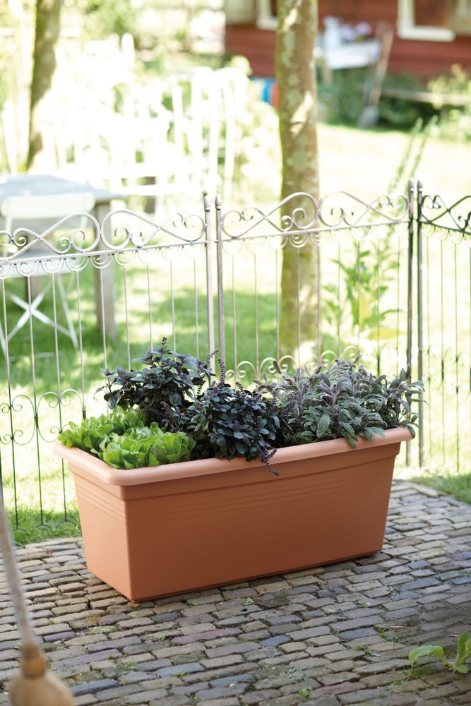 Green Basics Garten Xxl 80