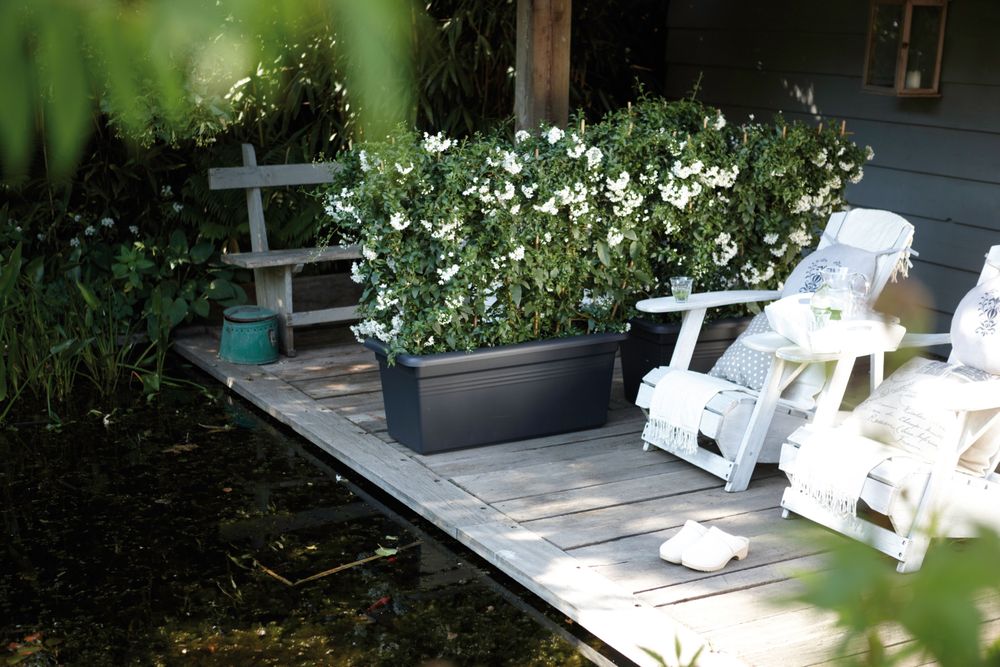 Green Basics Garten Xxl 80