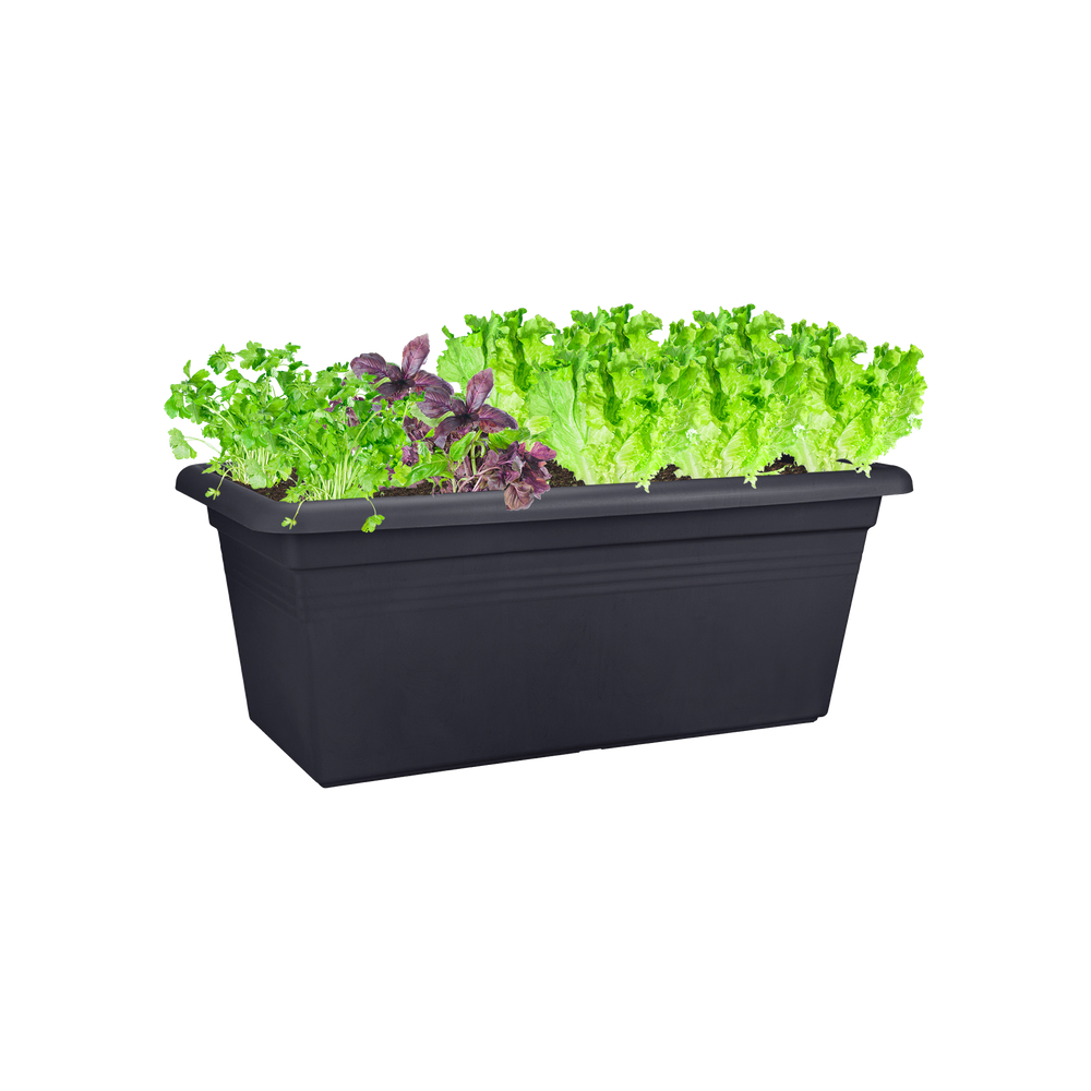 Green Basics Garten Xxl 100