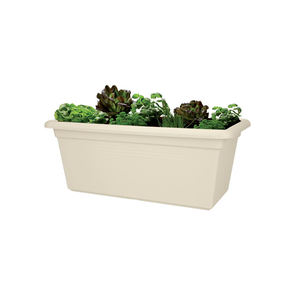 Green Basics Garten Xxl 60