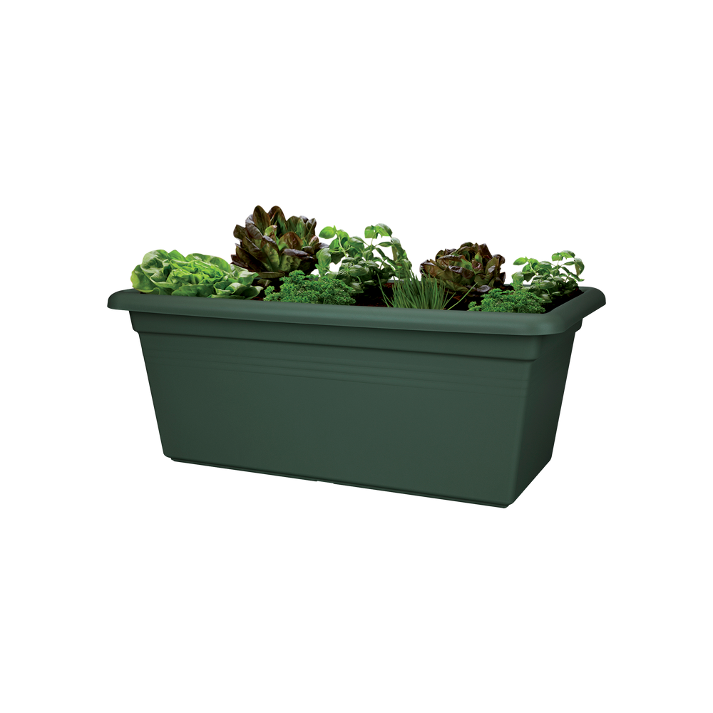 Green Basics Garten Xxl 60