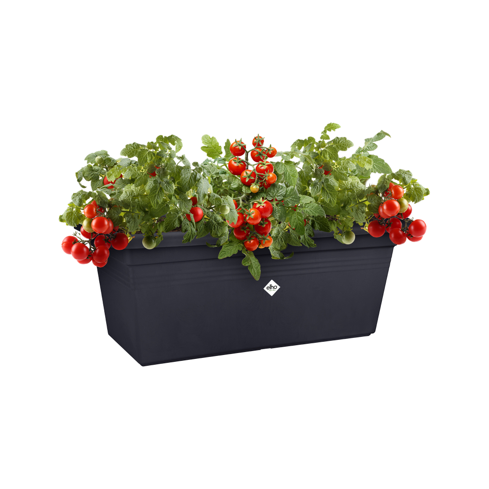 Green Basics Garten Xxl 60