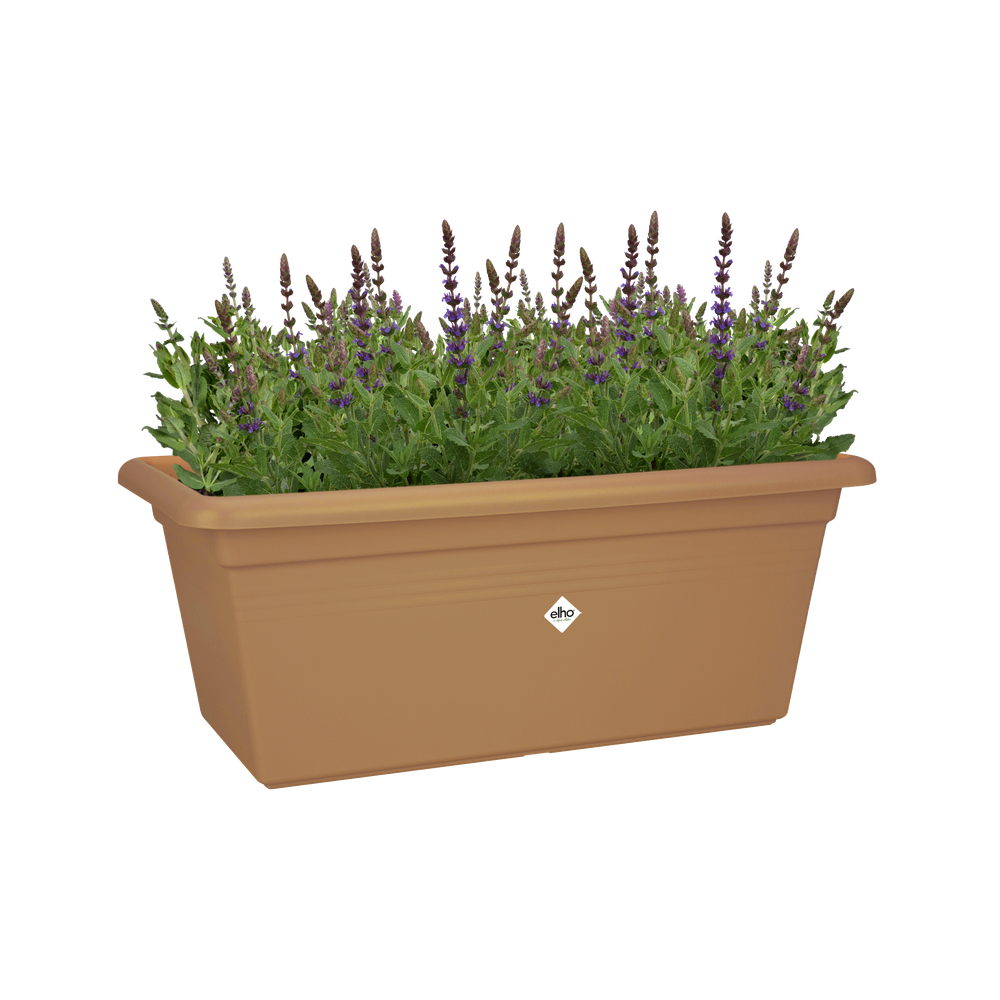Green Basics Garten Xxl 60