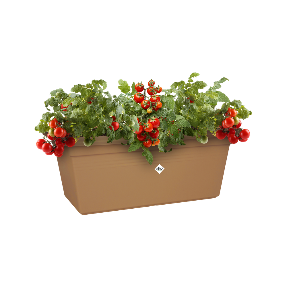 Green Basics Garten Xxl 60