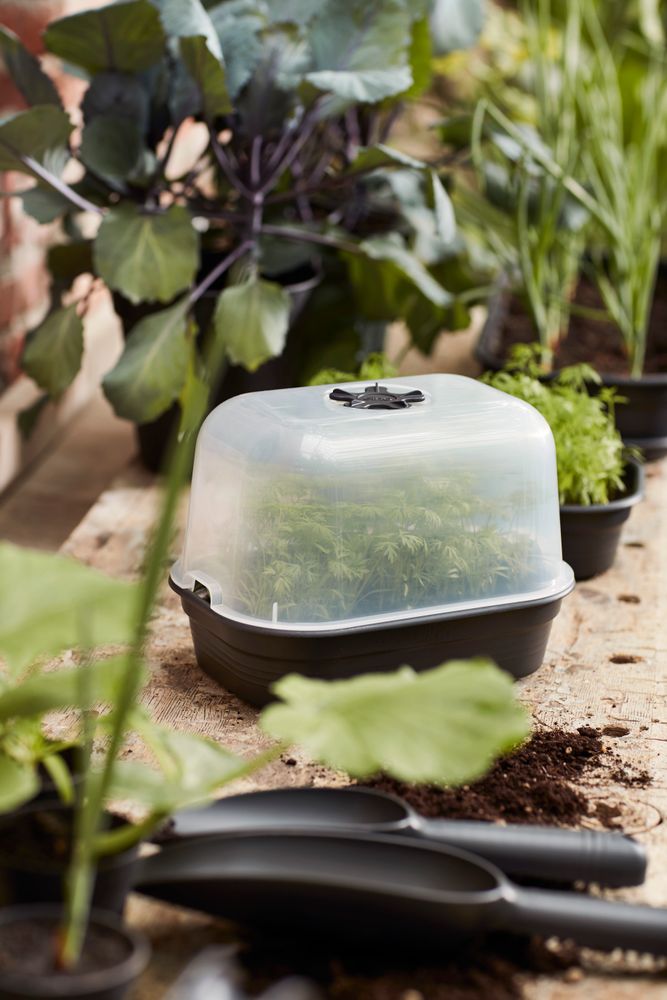 Green Basics Anzucht Untersetzer S