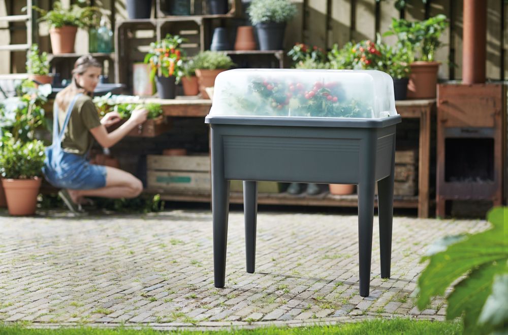 Green Basics Anzuchthaus Super Xxl