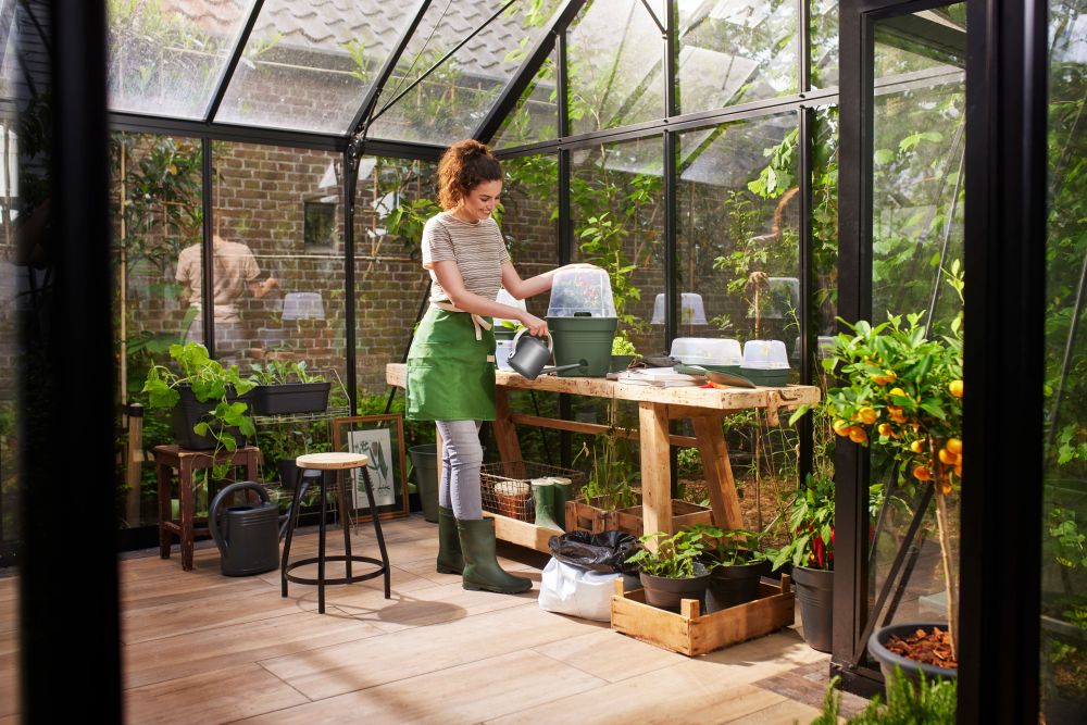 Green Basics Anzucht. Qua. Allin1 30