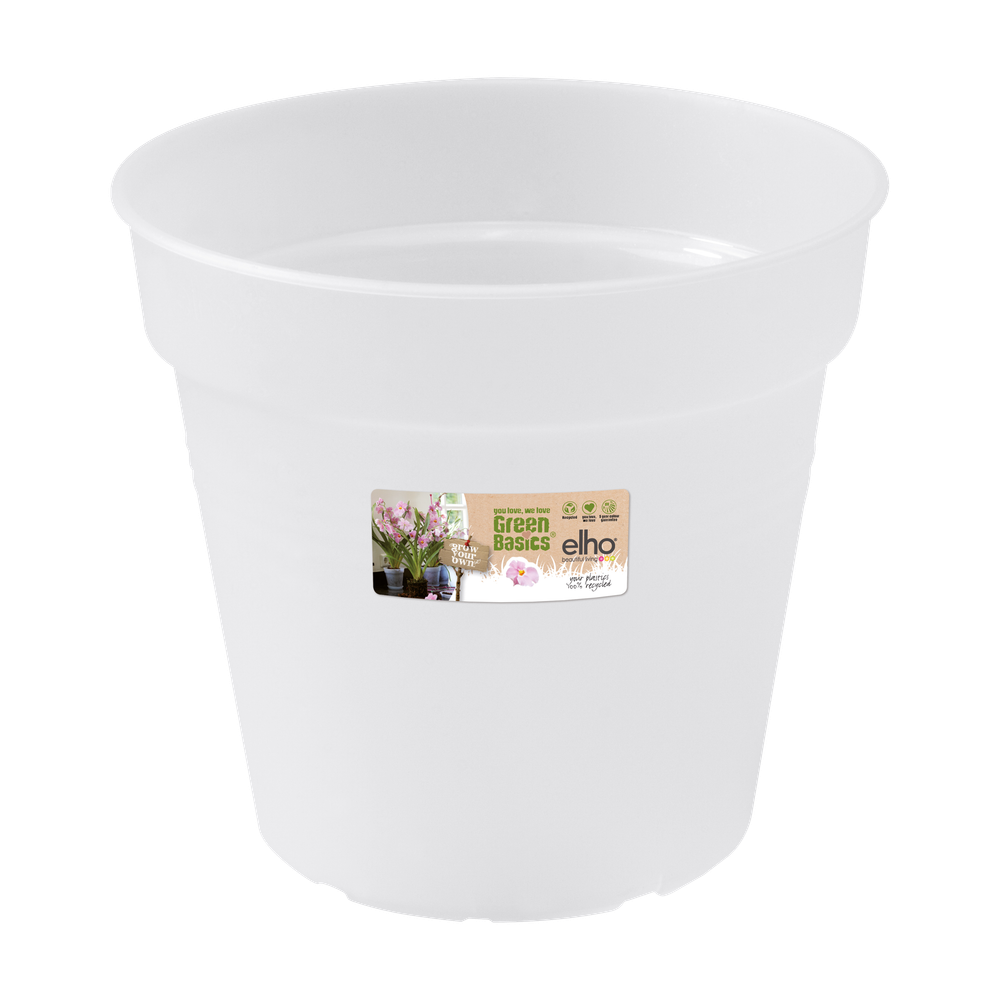 Green Basics Orchidee 13