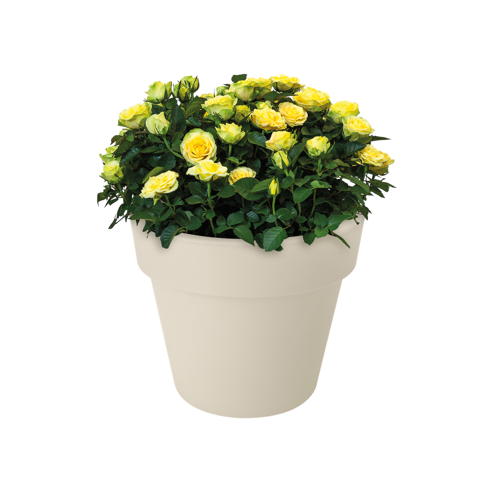 Green Basics Top Planter 30