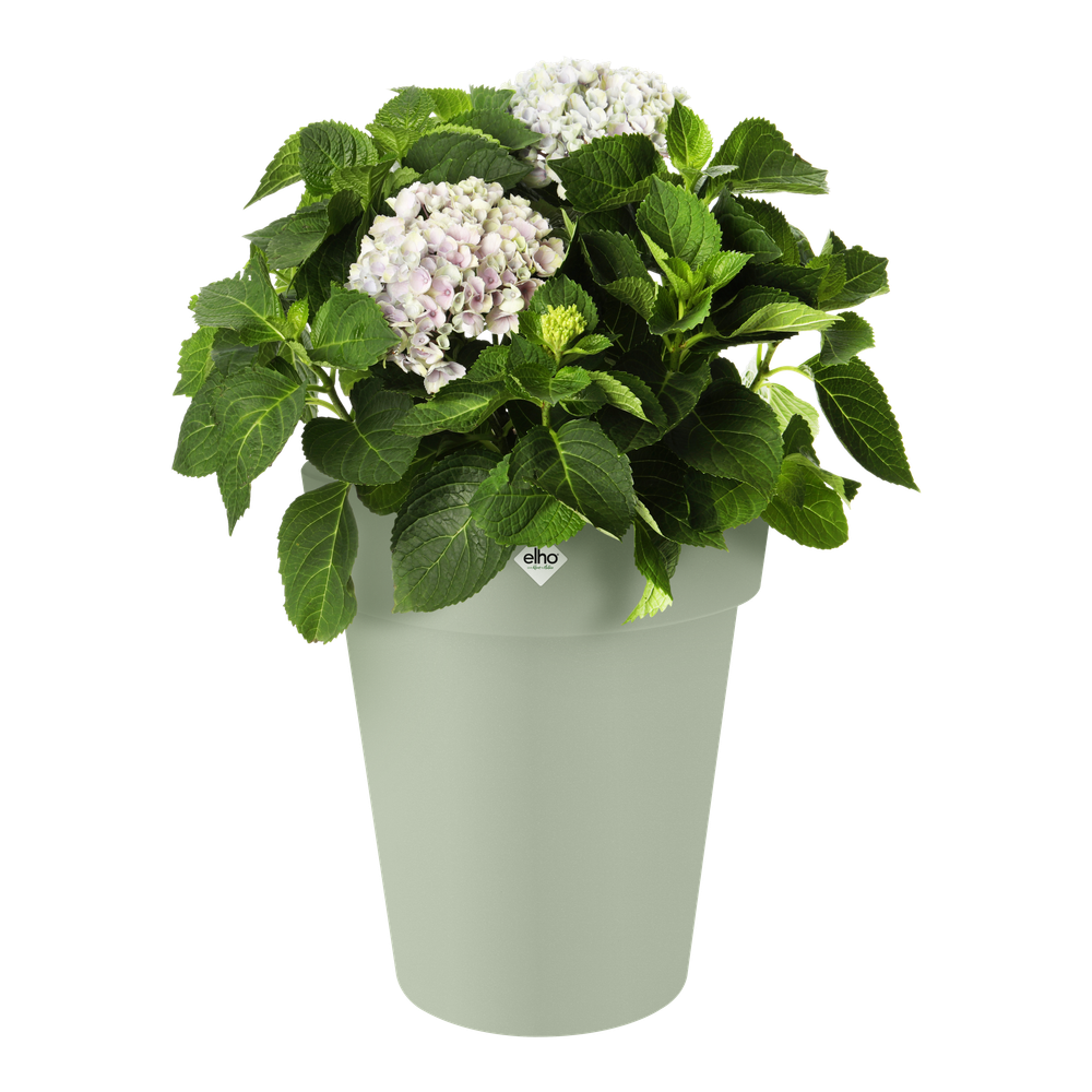 Green Basics Top Planter Hoch 35