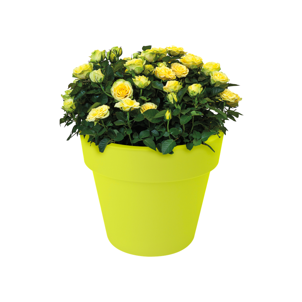 Green Basics Top Planter 30
