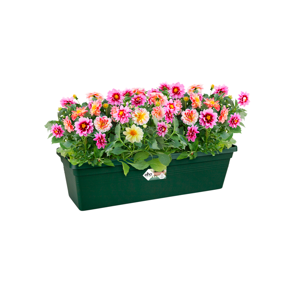 Green Basics Balkonkasten 40