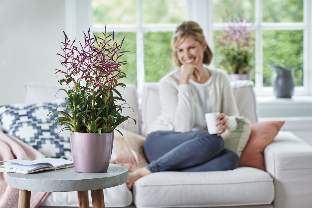 Brussels Diamond Rund 14