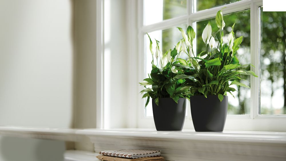 Brussels Diamond Rund 14