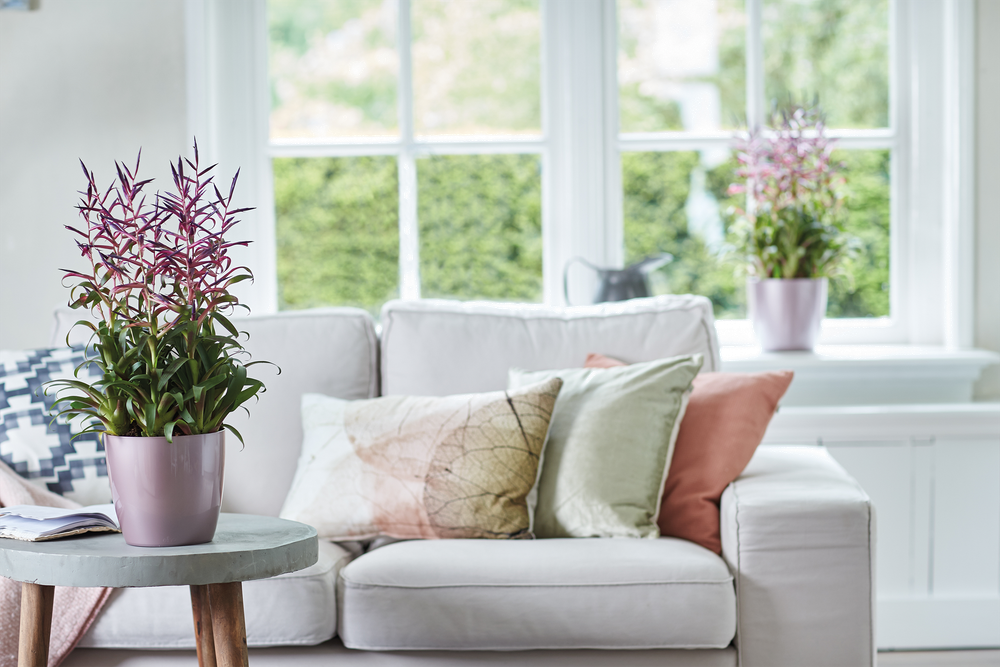 Brussels Diamond Rund 14