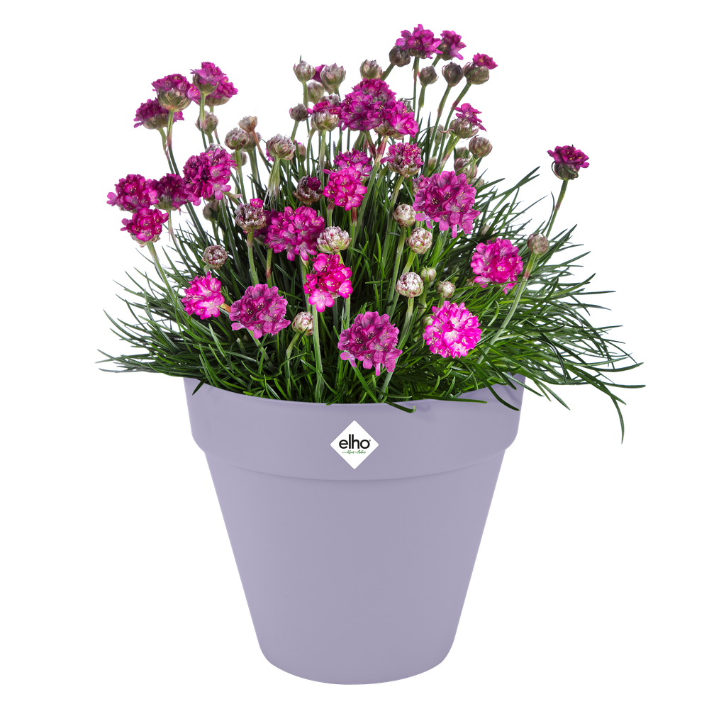 Loft Urban Rund Rollen 50