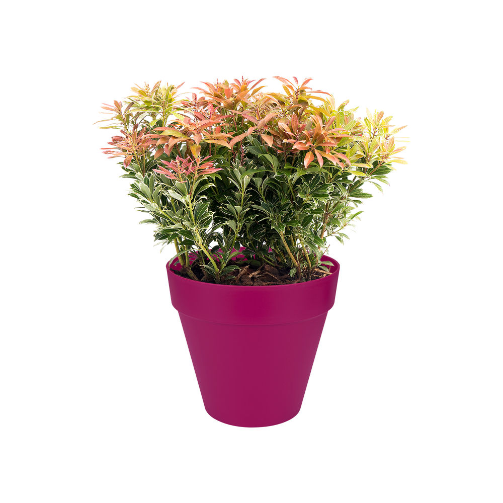 Loft Urban Rund 25