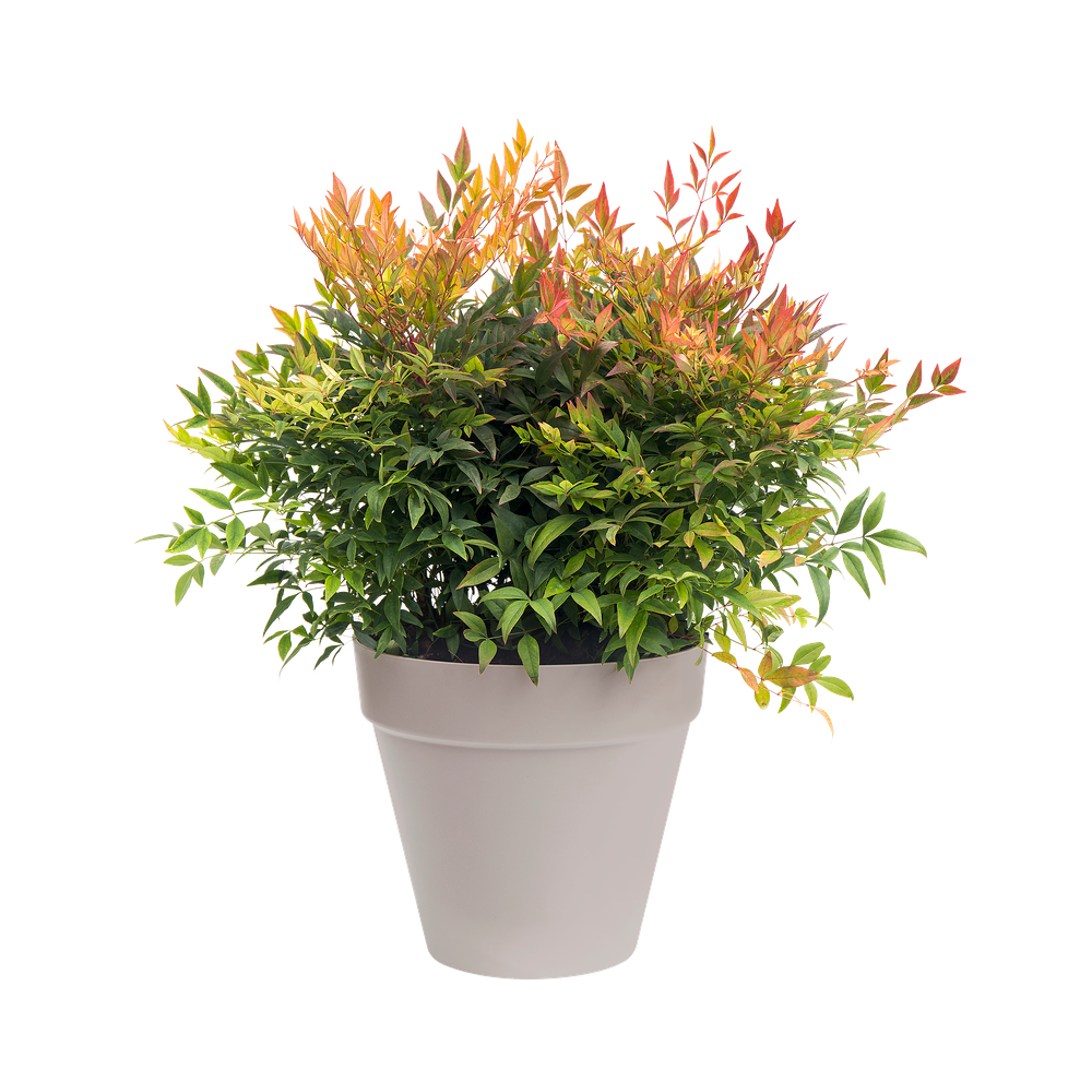 Loft Urban Rund Rollen 50