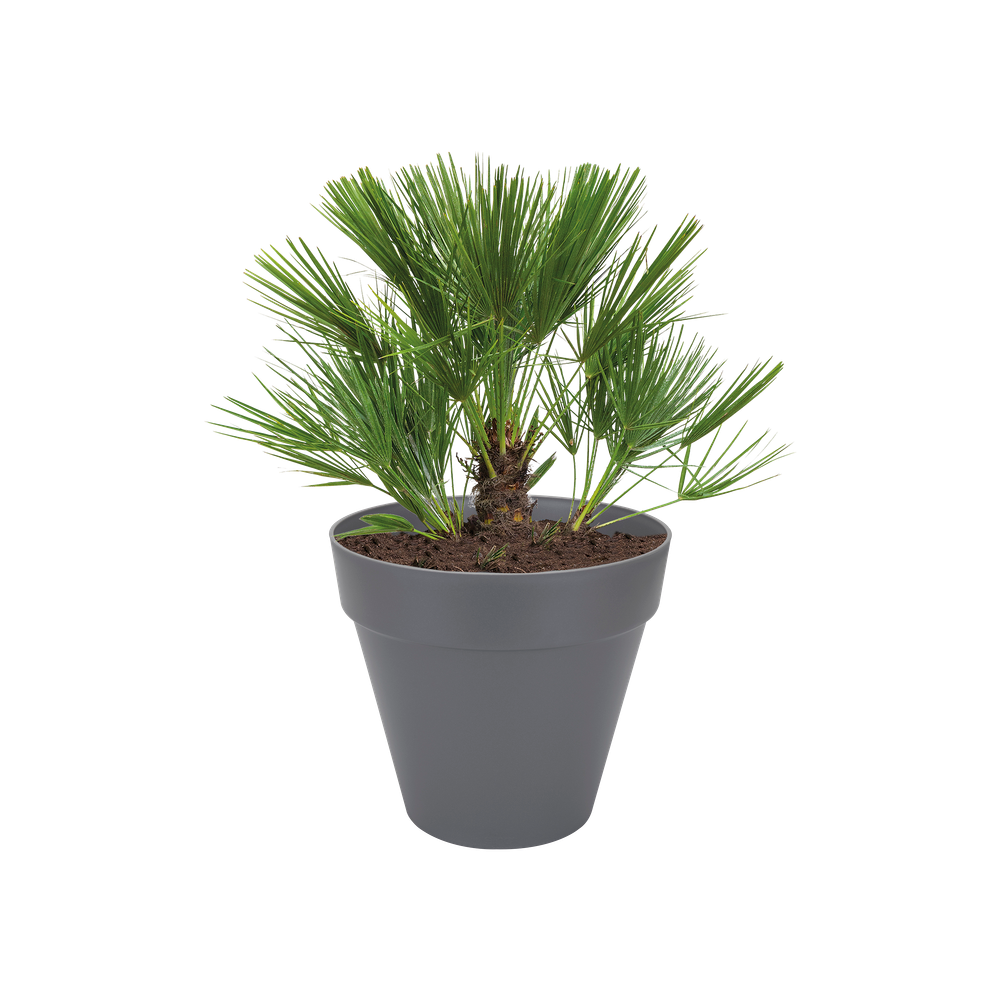 Loft Urban Rund Rollen 60