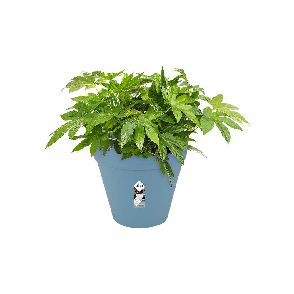 Loft Urban Rund Rollen 50