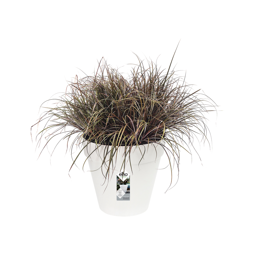 Loft Urban Rund Rollen 50