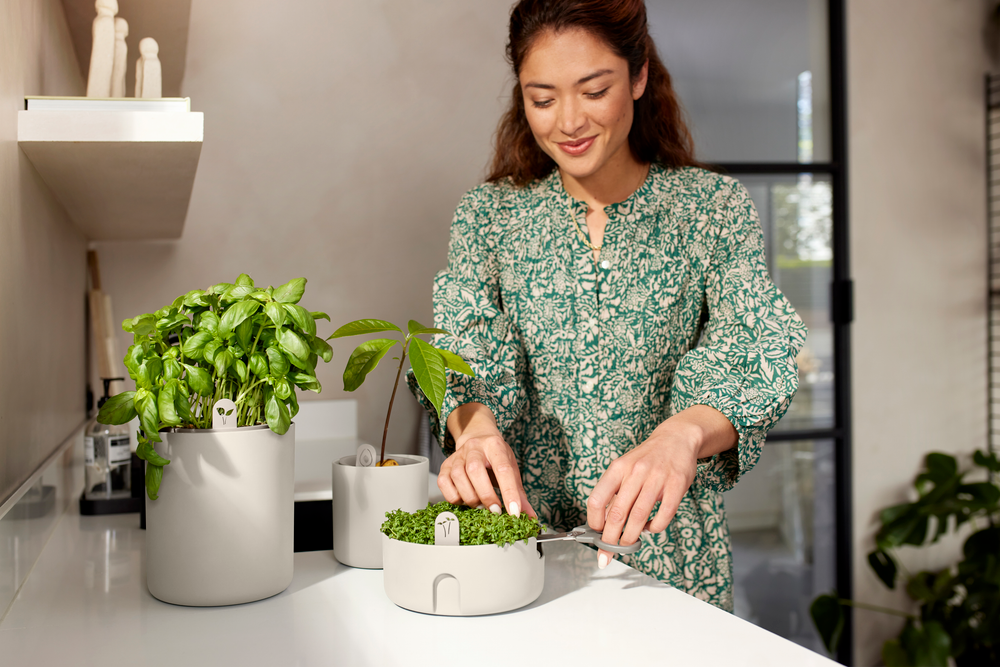 Magic Microgreens