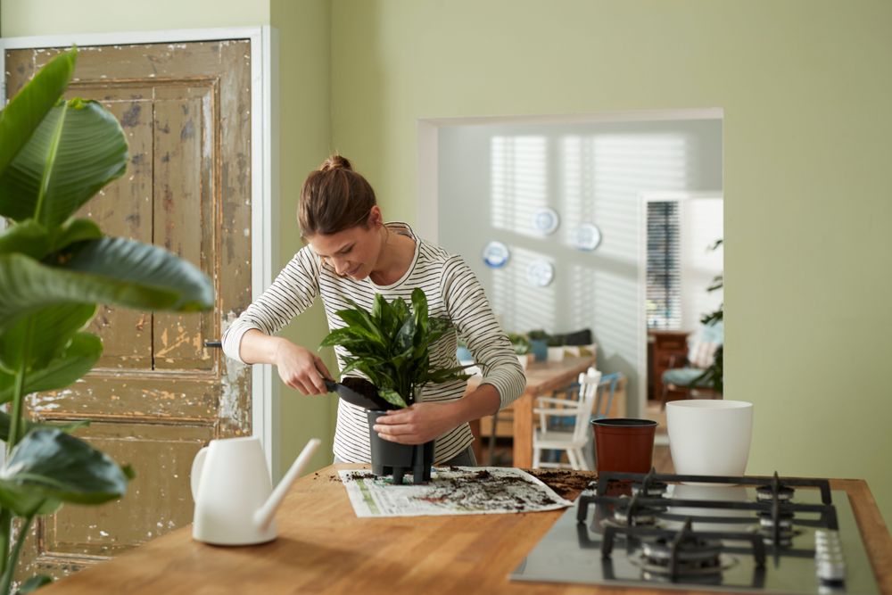 Selbstbewässerungssystem 15