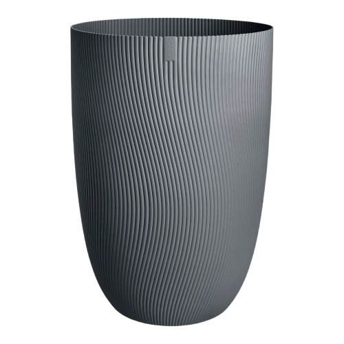 Sereh Hoch 30