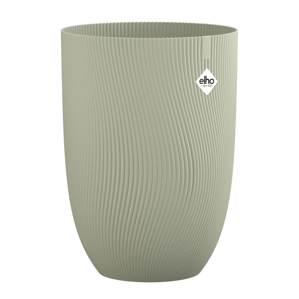 Sereh Hoch 40