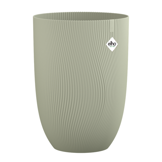 Sereh Hoch 30
