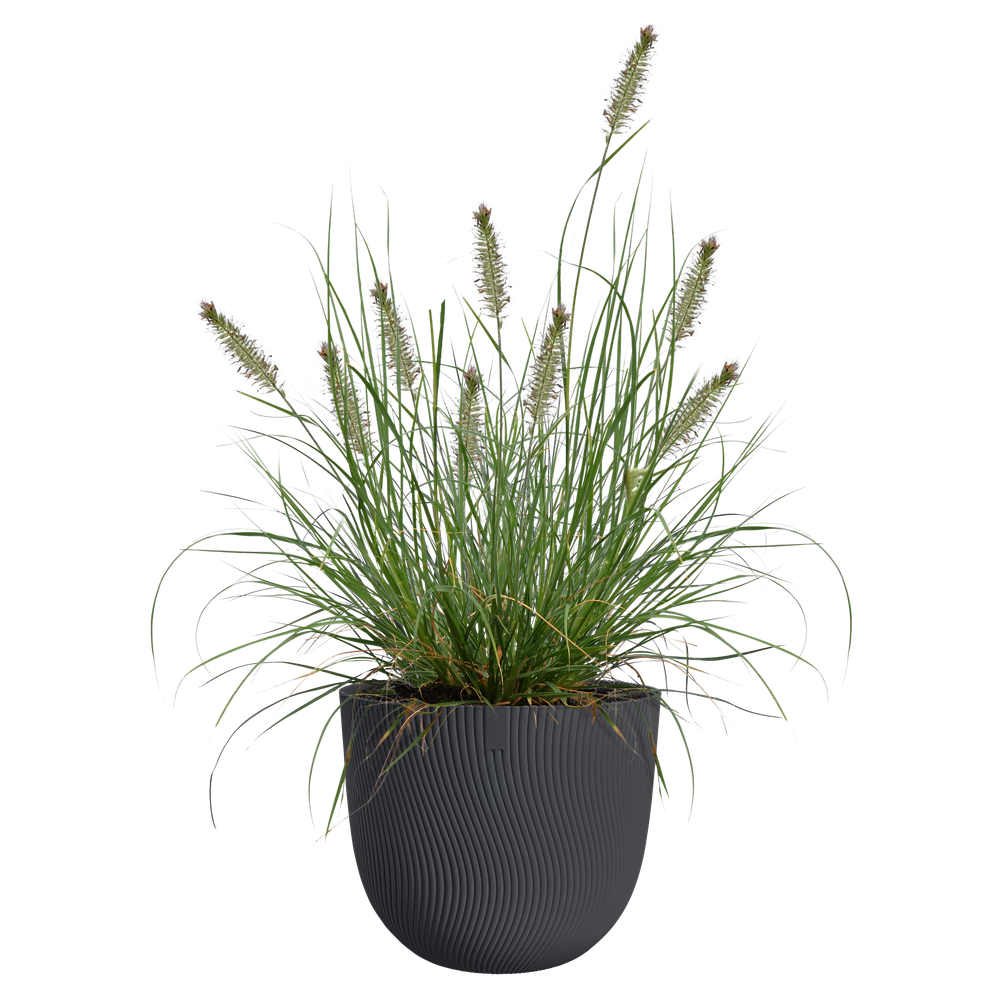 Sereh Rund 40