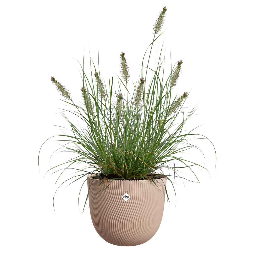 Sereh Rund 25