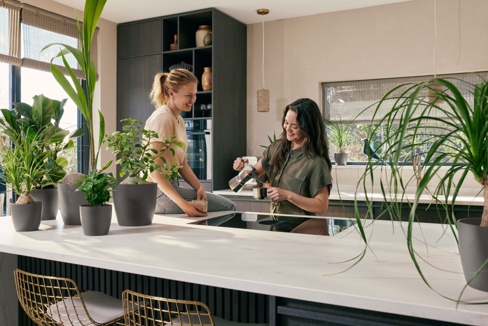 The Coffee Collection Rund 16