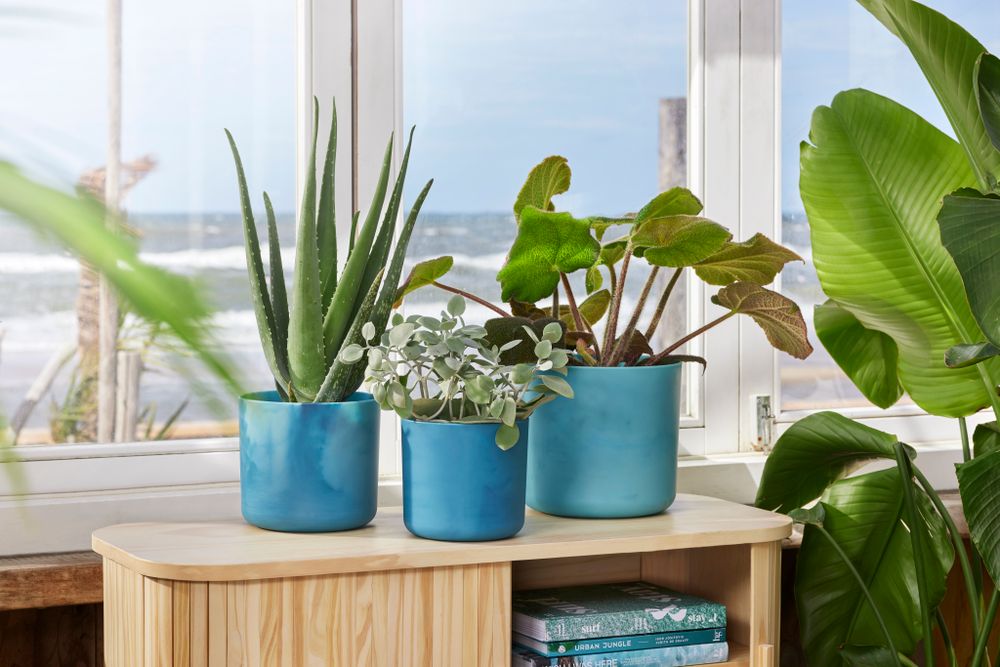 The Ocean Collection Rund 16