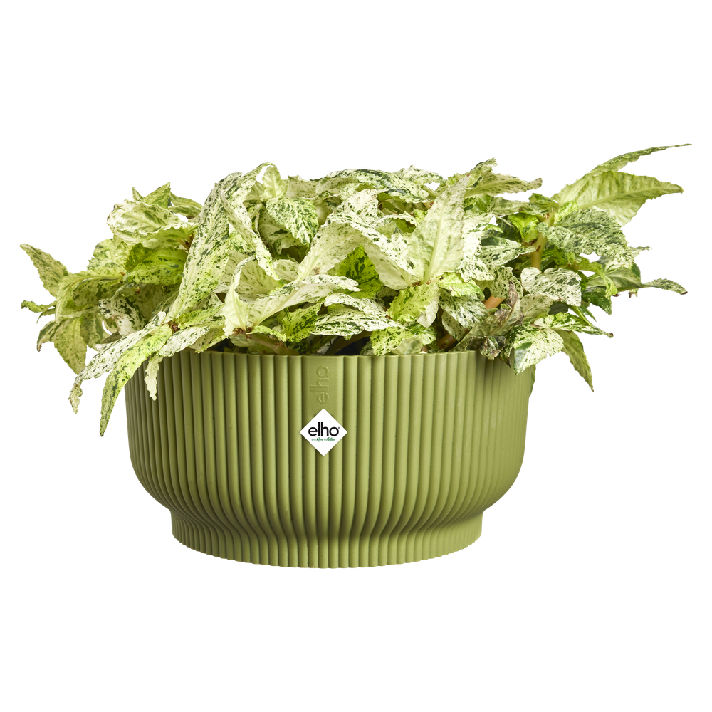 Vibes Fold Bowl 25