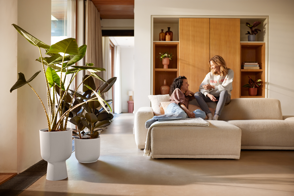 Vibes Fold Coupe 30