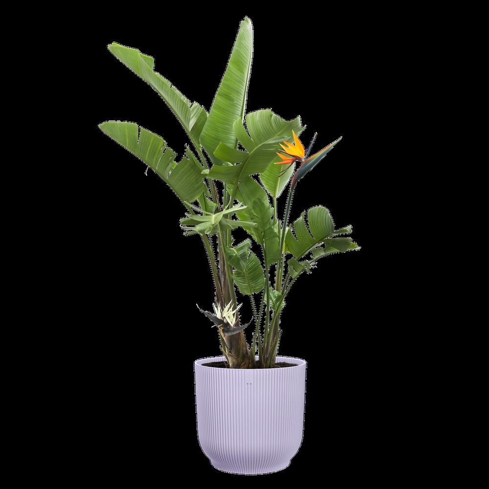 Vibes Fold Rund 25