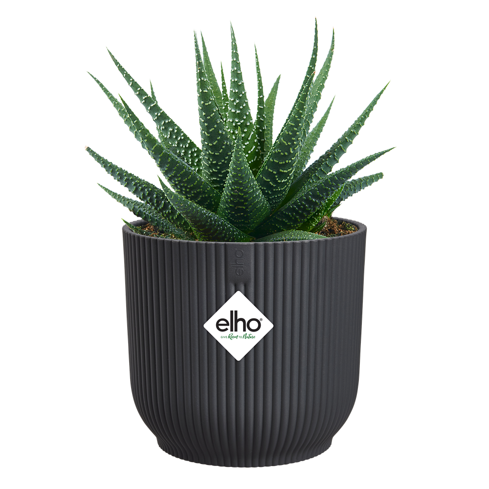 Vibes Fold Rund Mini 9