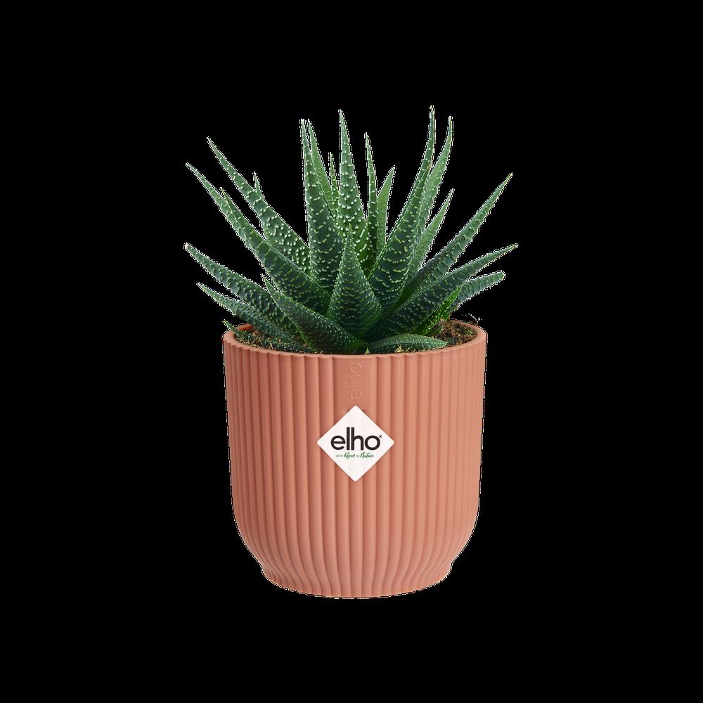 Vibes Fold Rund Mini 9