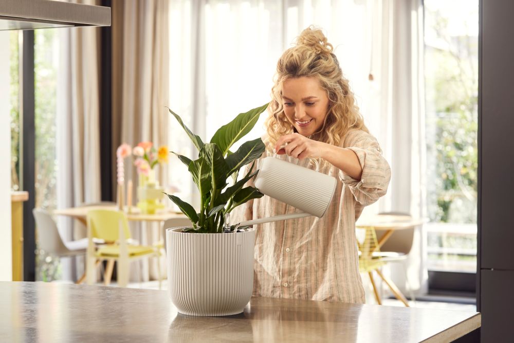 Vibes Fold Giesskanne 1.7ltr