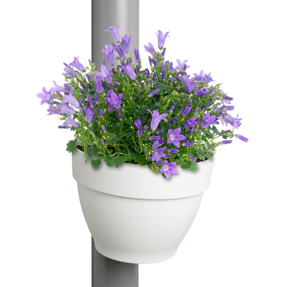 BNDL Vibia C. Fallrohrpflanzgefäss X 3