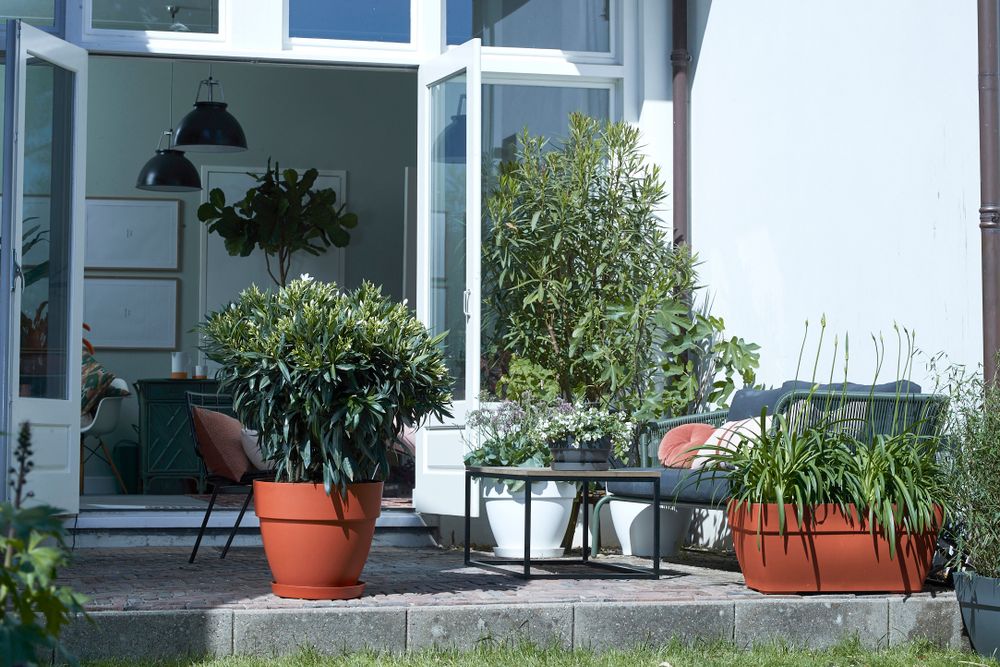 Vibia Campana Schale 27